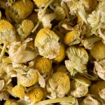 Chamomile - Loose tea 1 kg