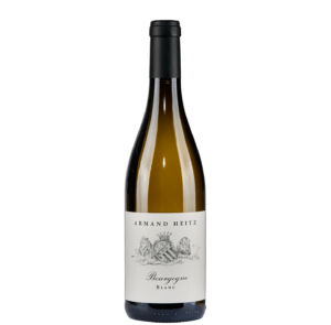 Bourgogne Blanc 2023 white wine, 12.5%
